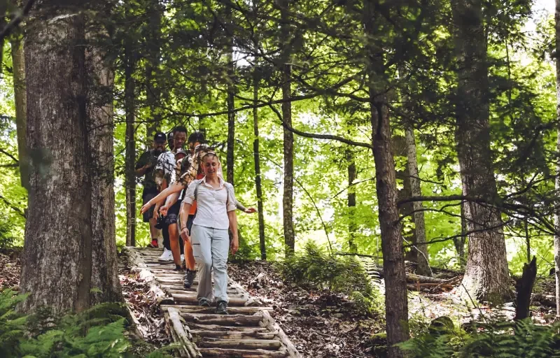 a group of people walking across a wooden bridge in the woods