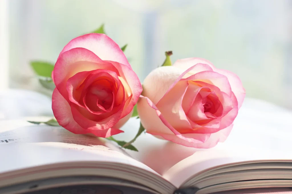 Two roses in a book
